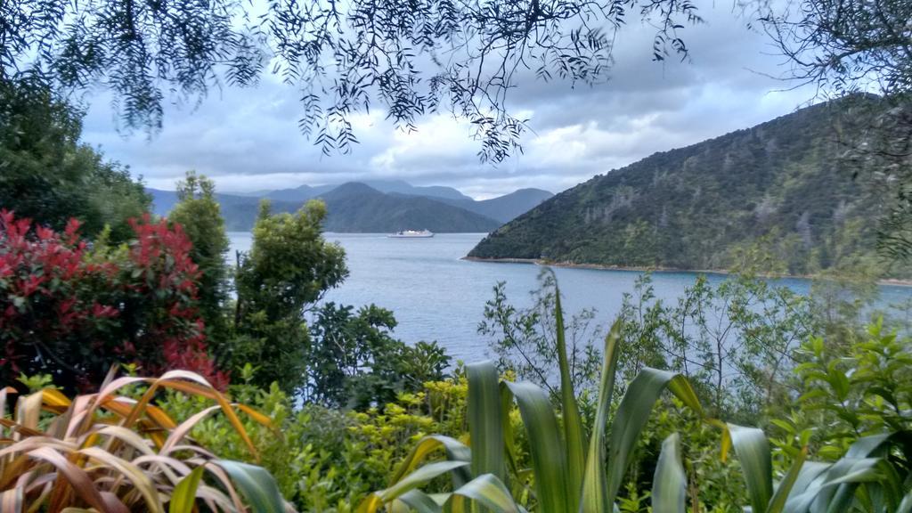 A Sea View B&B Піктон Номер фото